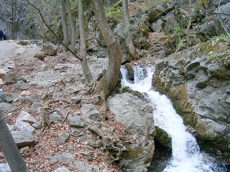 2012.04.14. 0081.jpg